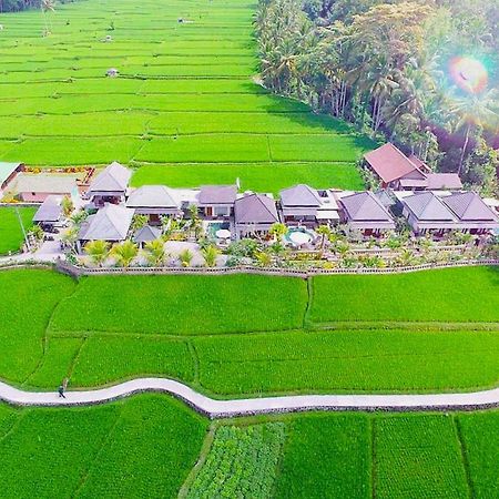Villa Jj And Spa Ubud Exteriér fotografie