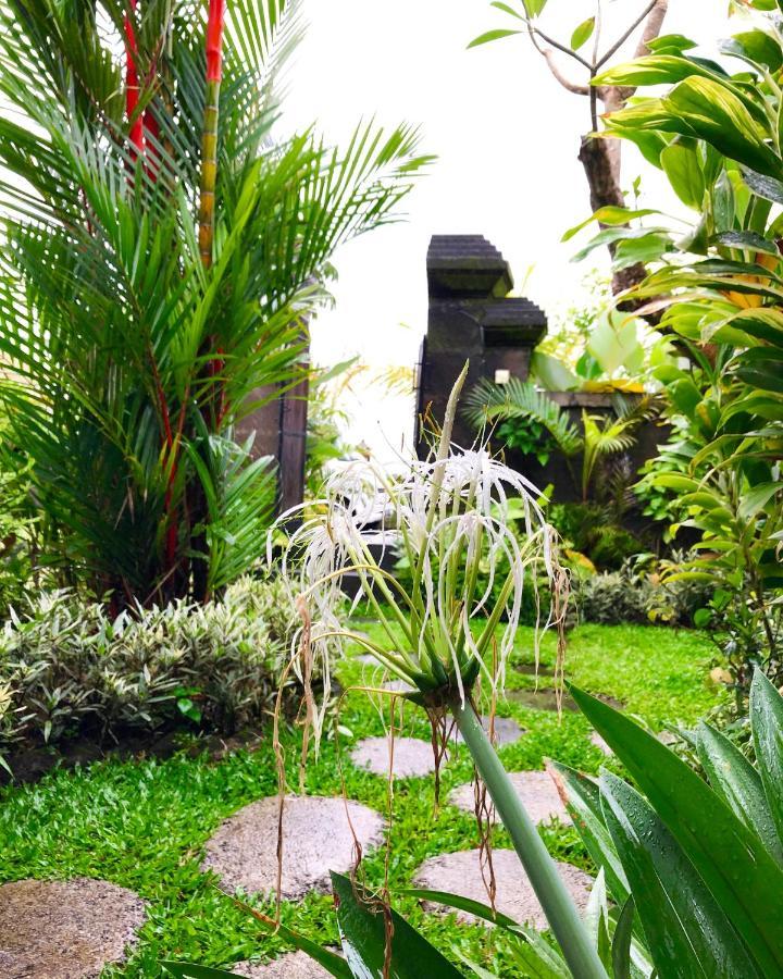 Villa Jj And Spa Ubud Exteriér fotografie