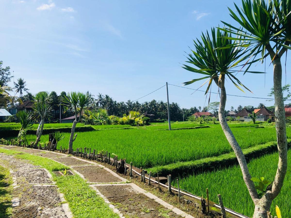 Villa Jj And Spa Ubud Exteriér fotografie