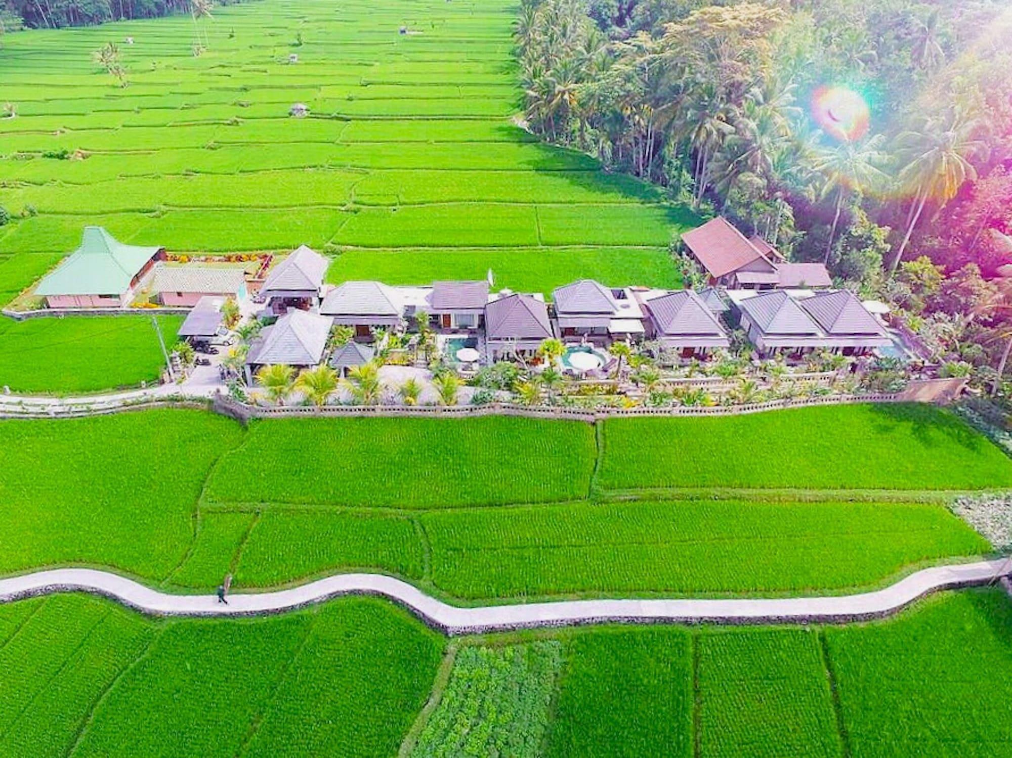 Villa Jj And Spa Ubud Exteriér fotografie